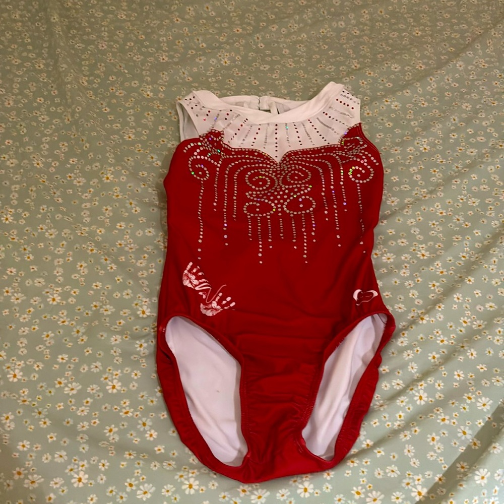 Chalk warrior Christmas leotard